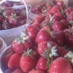 20130413-181919.jpg