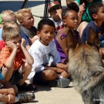 Police dog Bodie visits with Summer Oasis participatns last year. / Photo: C. Shannon
