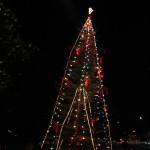treelight2013c