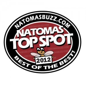 TopSpot2012logo