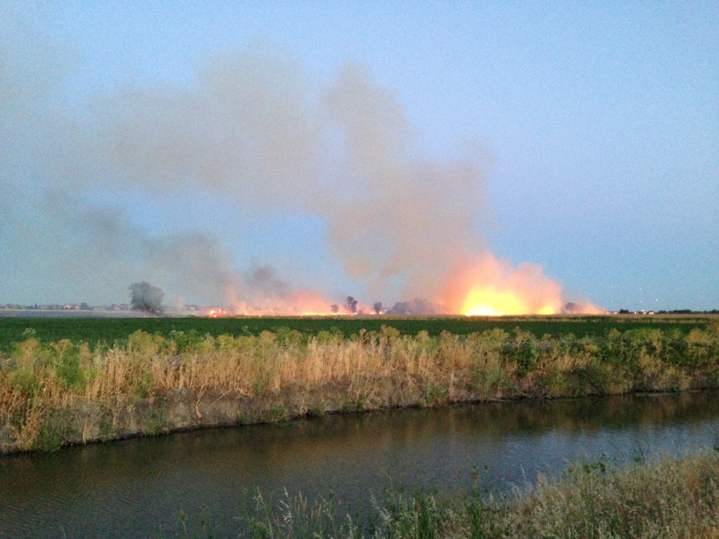 bayoufire19