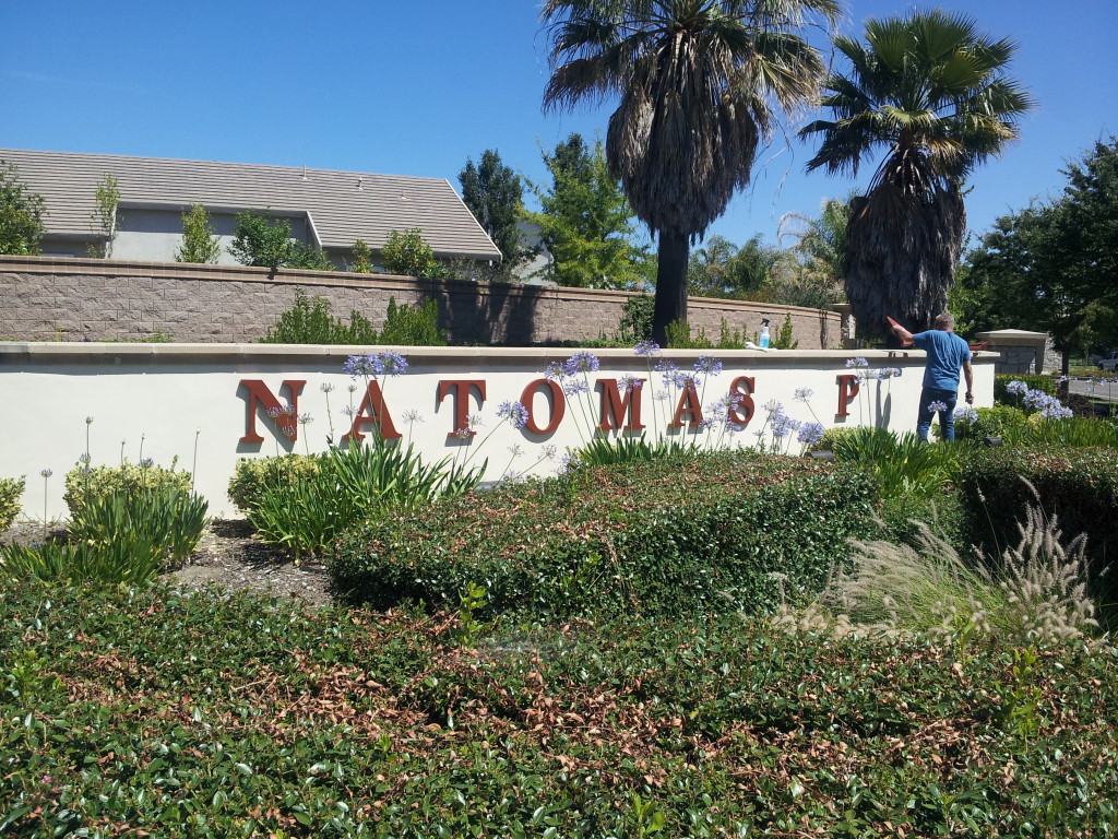 newnatomasparksign