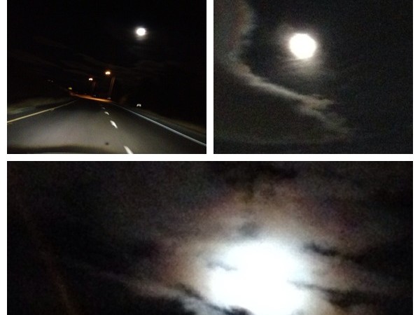 View of the supermoon from the Yolo Bypass. / Photo by Enamika Singh