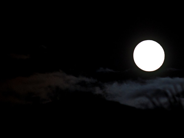 Supermoon over Natomas/ Photo by Sirisha Nemani 