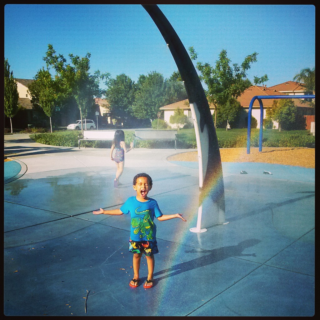 Golden Poppy Park in Natomas / Photo courtesy Karen Britt