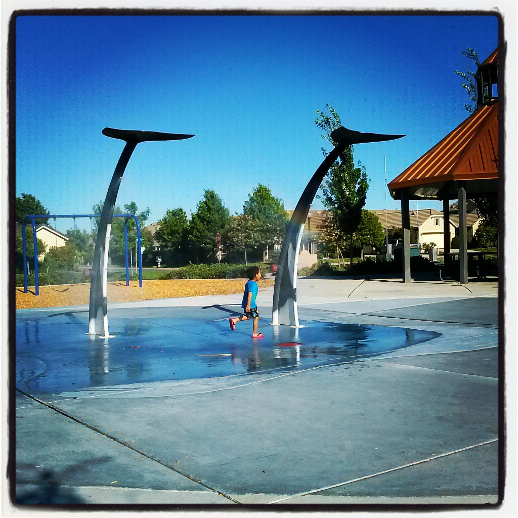 Golden Poppy Park in Natomas / Photo courtesy Karen Britt