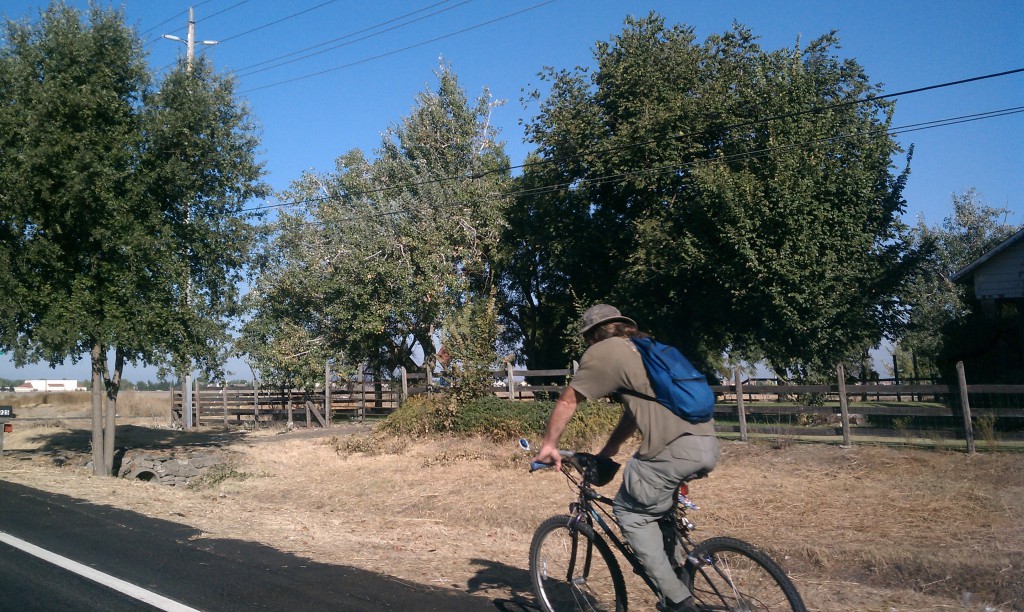 A cyclist rides westbound on Del Paso Road near Valley View Acres.