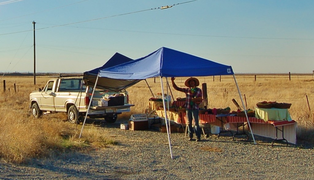 farmstand