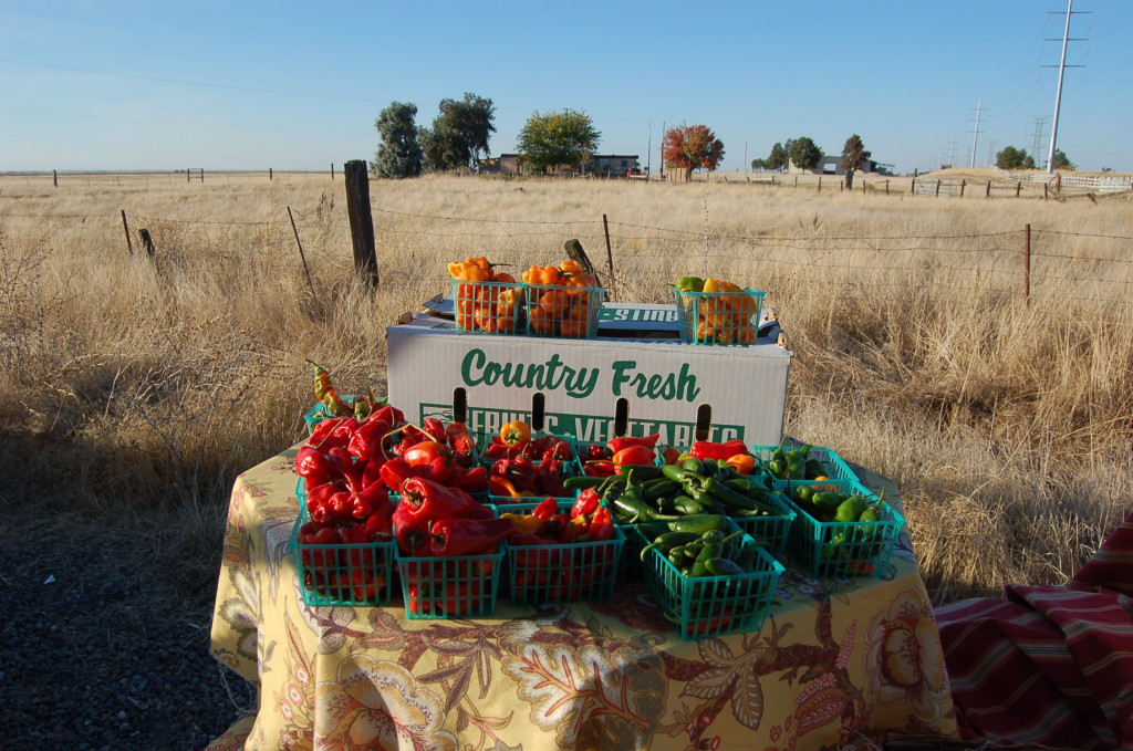 farmstand3