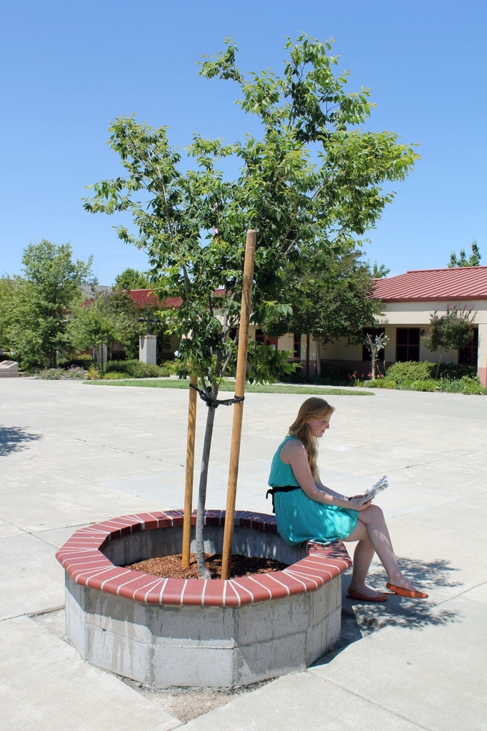 Memorial being built in memory of Natomas Charter teacher Gregory Humphries. / Photo: B. Silveira