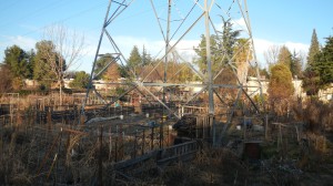 Garden plots are adjacent to transmission towers. / Photo: B. Tuzon Boyd