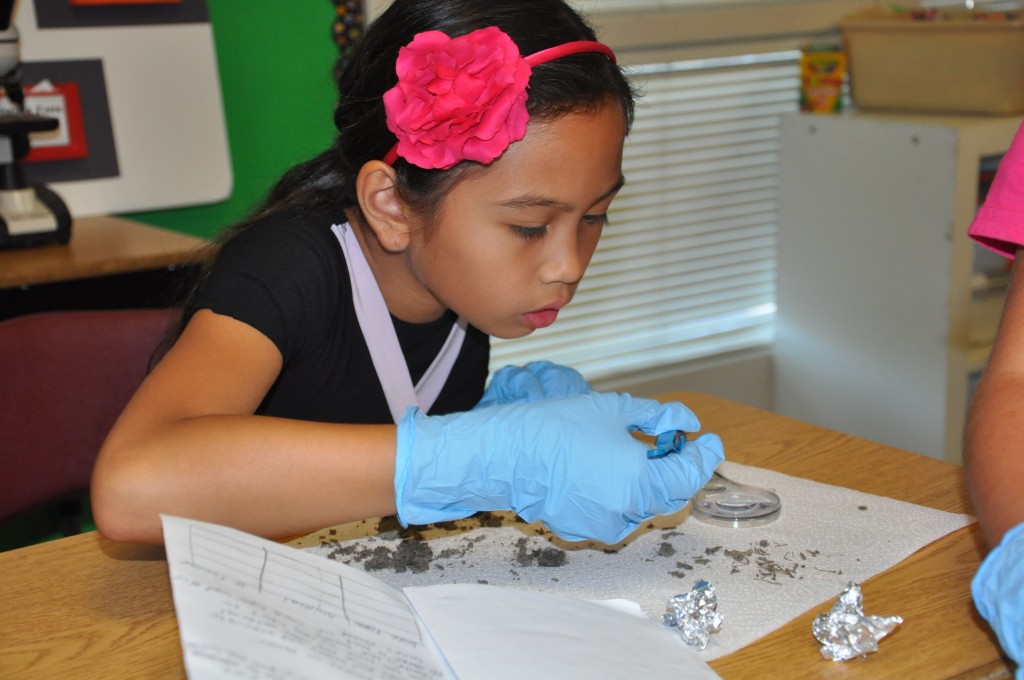 Students in Nicole Swonger's 4th grade class at Witter Ranch Elementary School dissect owl pellets. / Courtesy Photo