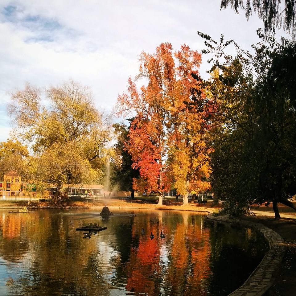 2014 Fall Photo Contest Winner | The Natomas Buzz