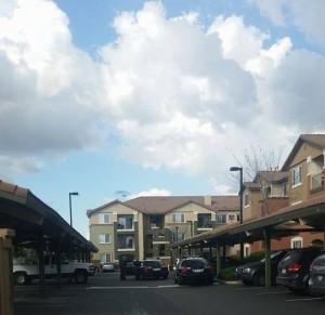 SacPD arrest shoplifting suspect at apartment complex in Natomas. / Courtesy Photo