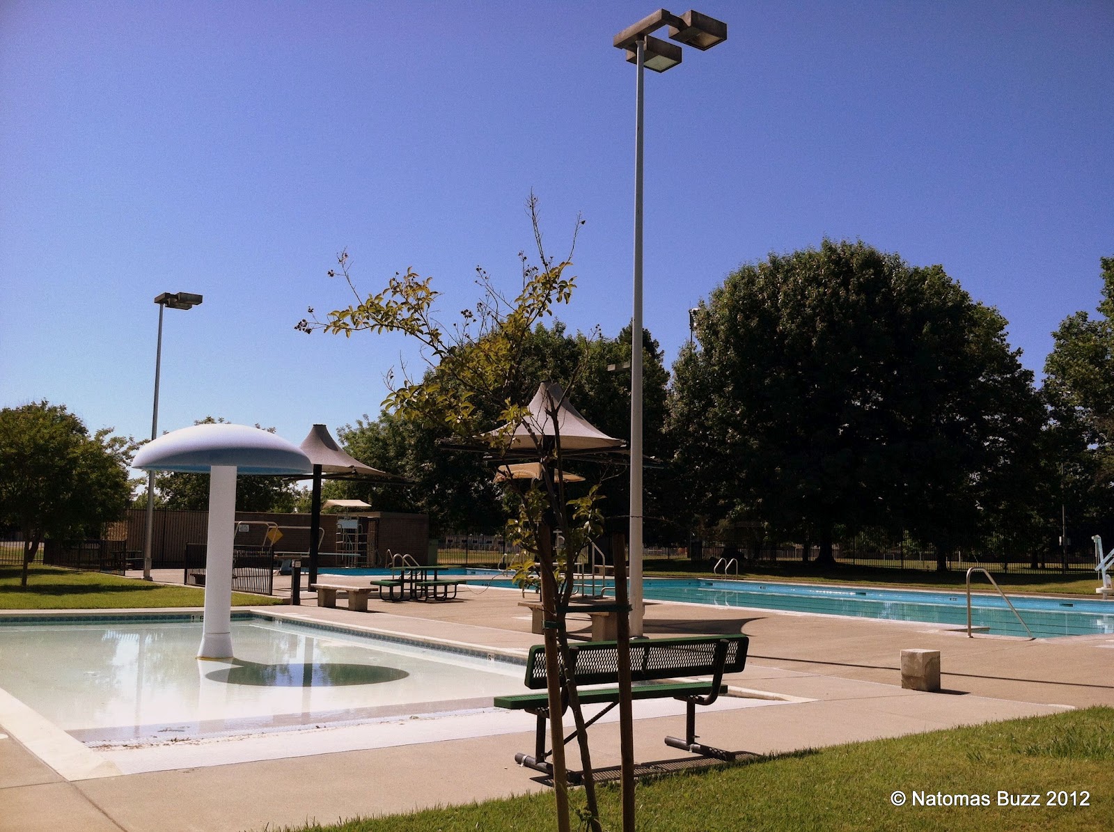 Natomas Pool Open for Recreational Swim The Natomas Buzz