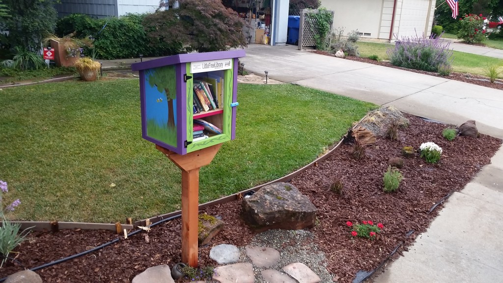 littlefreelibrary2