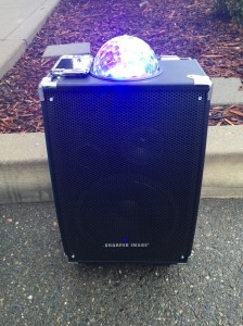 Principal Kloczko's disco ball. / Photo: J. Mock