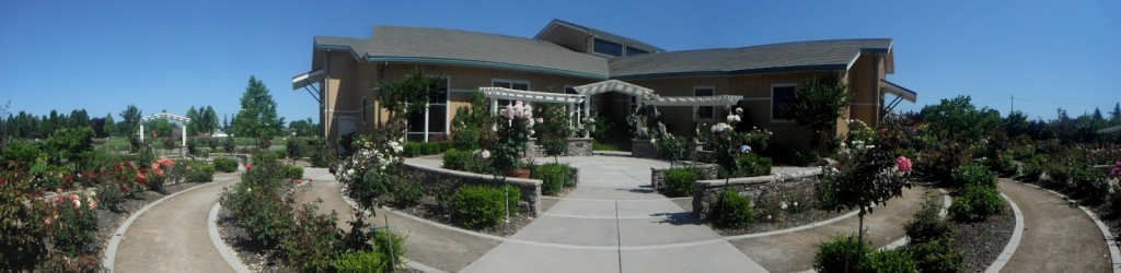 The Natomas Rose Garden in full bloom. / Photo: NatomasBuzz.com