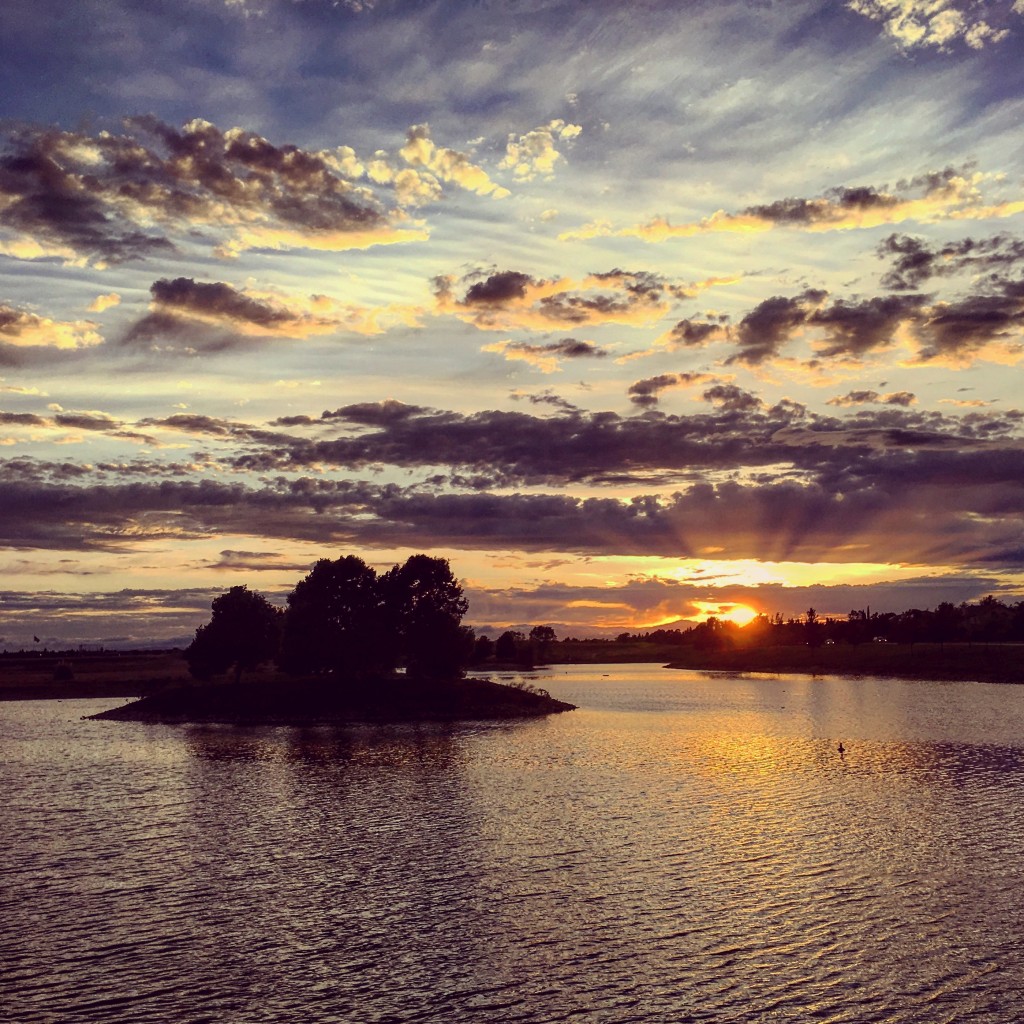 Natomas Regional Park taken on April 21, 2016 by Katie Nicholson