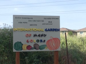 Families from several cultures grow food in the community garden adjacent to the River Garden Apartments complex. / Photo: B. Tuzon-Boyd