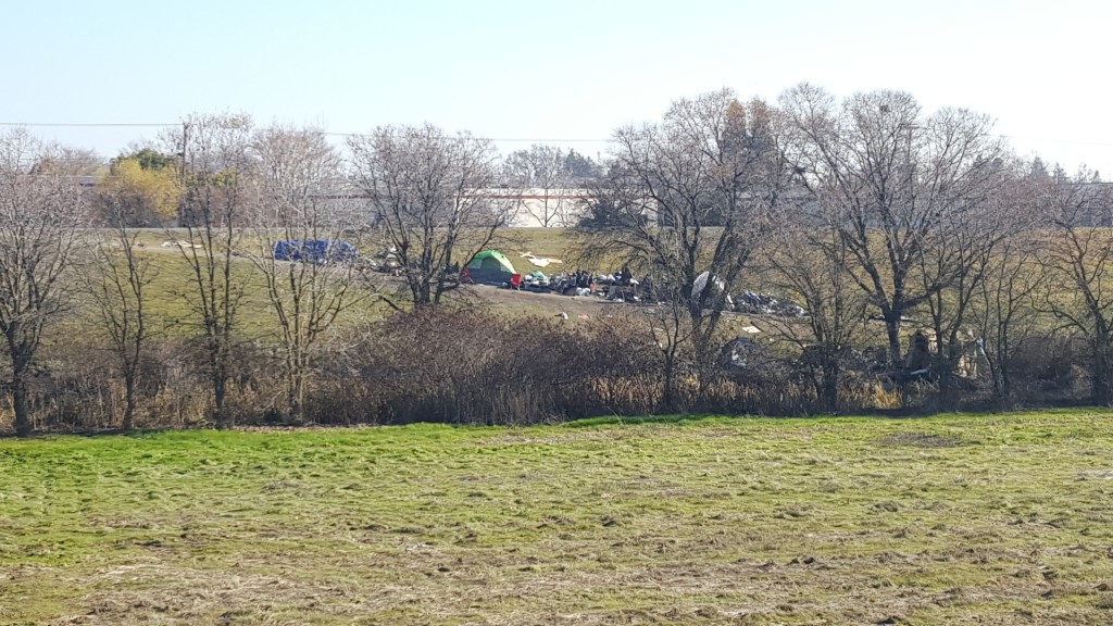 Homeless encampment near Main Street bridge and Northgate Boulevard, adjacent to Steelhead Creek. / Photo: M. Laver