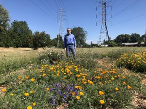 Image of orange poppies and other flowers in foreground with Jeff Harris standing in the background.