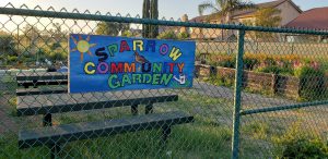 Image of colorful hand-painted sign which reads Sparrow Community Garden.