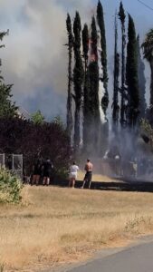 Image of fire burning trees behind close to homes.