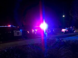 Image of police car lights flashing. Silhouette of driver and companion sitting on curb.