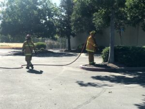 Image of firefighter with hose pointed at bark.