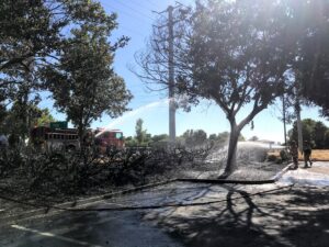 Image of two firefighters hosing down the vegetation.