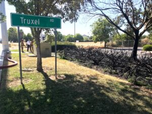 Image of burned bush on the right with Truxel Road sign to the left.