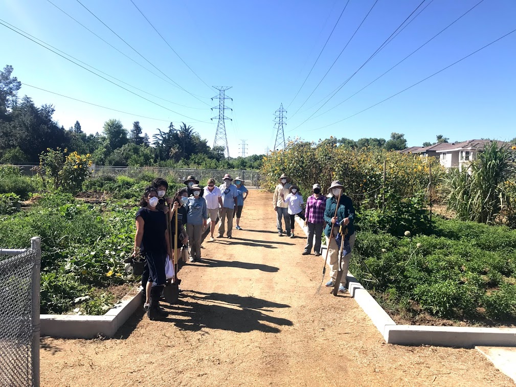 Image of garden club members standing apart from each other along a dirt path they recently cleared of weeds.