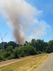 Image of dark plume of smoke rising from