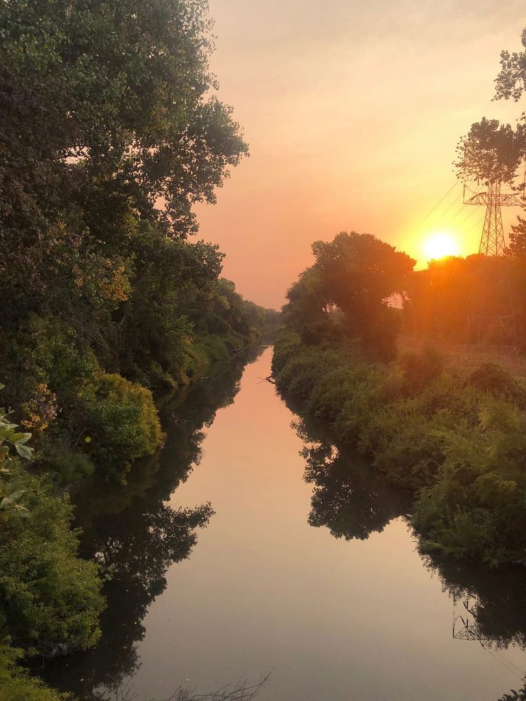 Image of water way flanked by mature trees with setting sun in the distance.