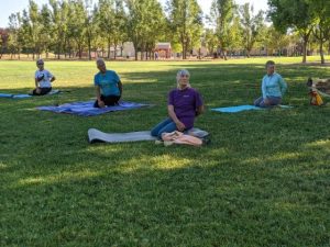 Image of four people sitting on the grass on yoga mats and stretching.