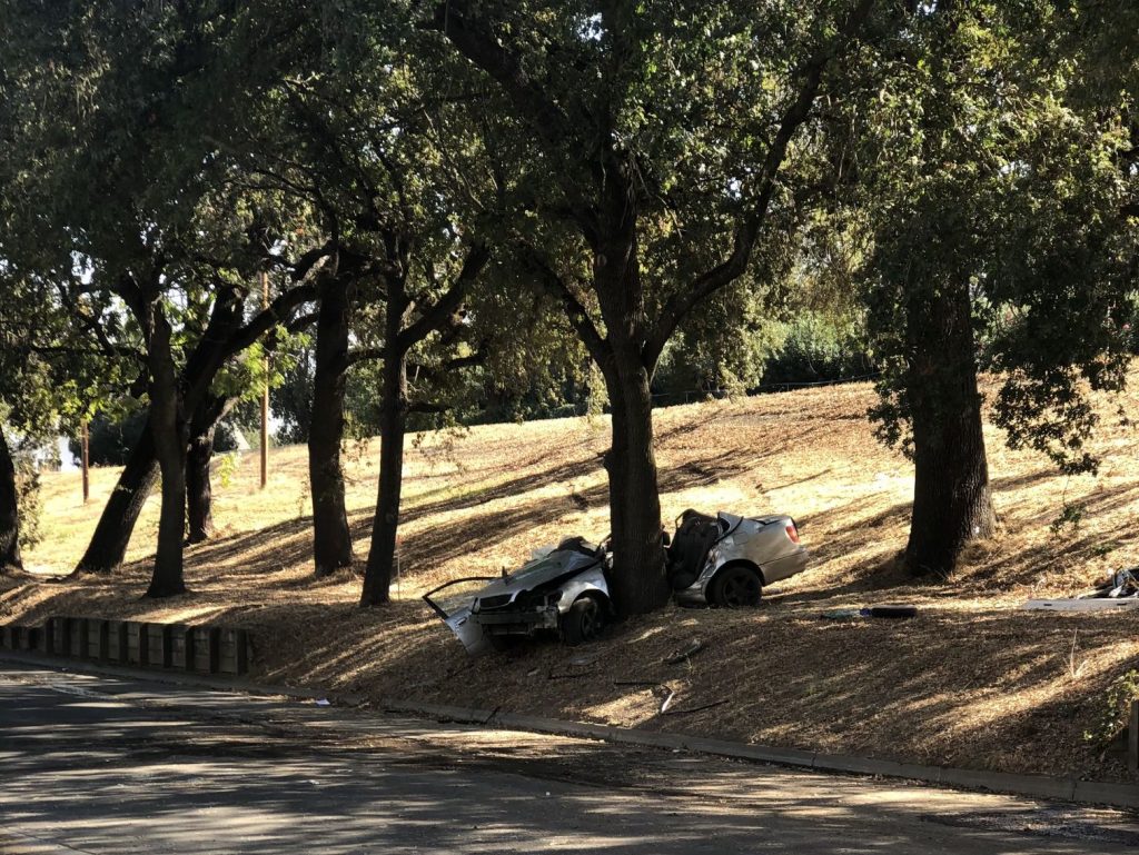 Image of vehicle wrapped split in two by a tree.
