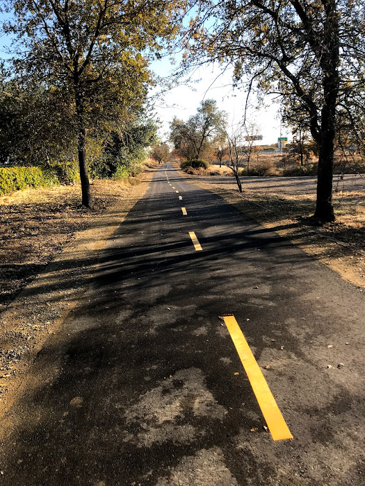 Image of paved bike trail flanked by trees.