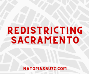 redistricting sacramento natomasbuzz.com