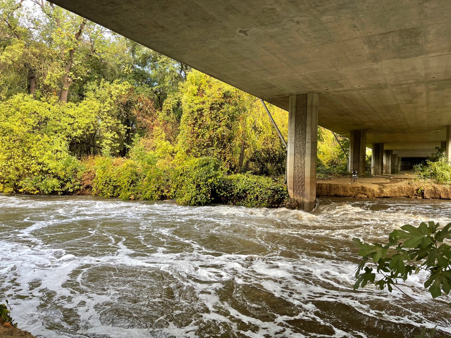 Seen in Natomas After the Record Rainfall The Natomas Buzz