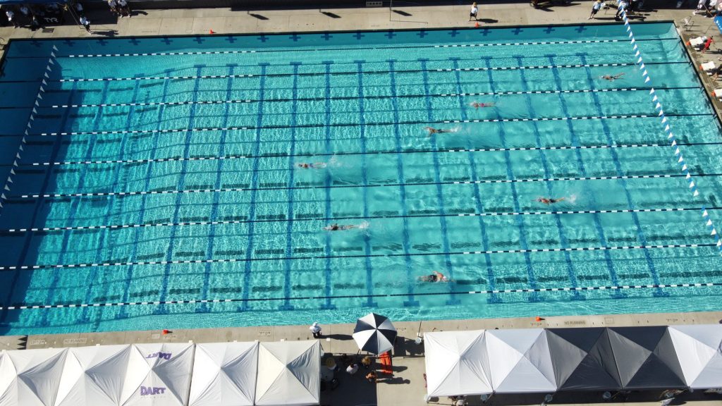Aerial image looking down on swimmers in an Olympic-size pool.