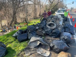 Image of a pile of black garbage bags and other debris.