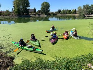 Image of people sitting in six different kayaks. The kayaks are floating atop algae in a water retention basin.