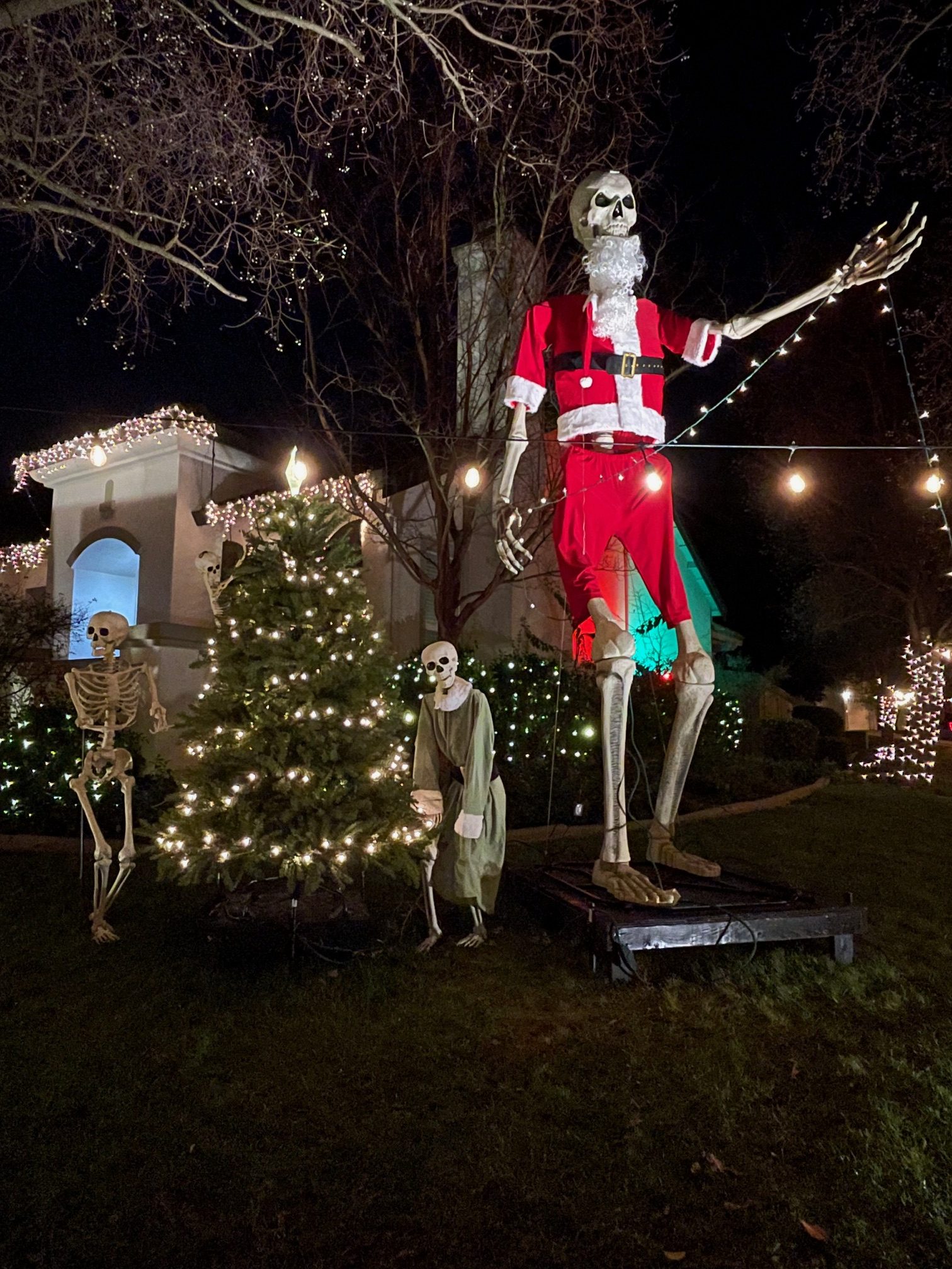 Where Can You Find the Best Holiday Lights in Natomas? The Natomas Buzz